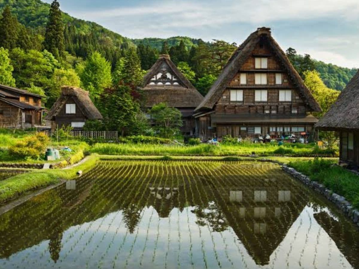 Japon — photo 10 sur 25