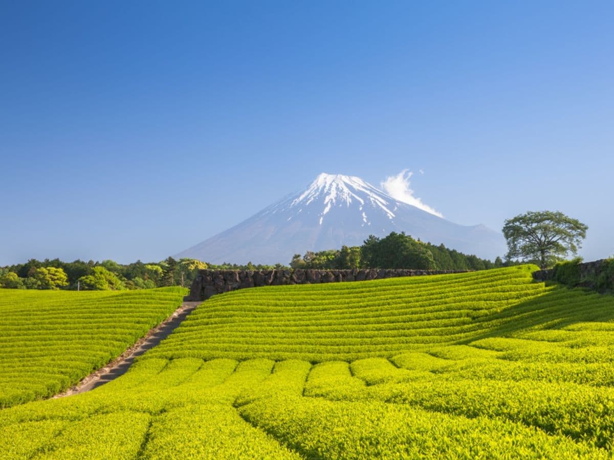 Japon — photo 22 sur 25