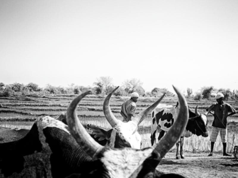 Madagascar — photo 2 sur 3